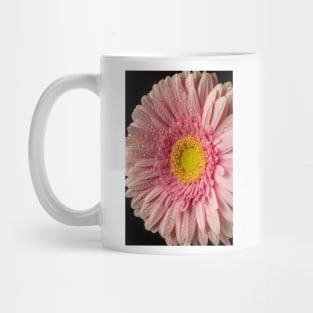 Dew Covered Pink Daisy Mug